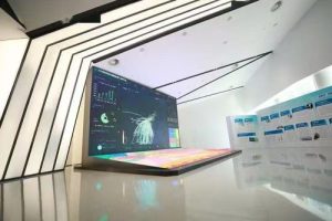 Hydrogen Energy Economy: Fuel Cell Vehicles, Industrial Decarbonization and Infrastructure Bottlenecks